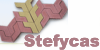 STEFYCAS IMPEX  - pavaje - dale si borduri - materiale de constructii