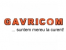 GAVRICOM - produse electrice, surse si corpuri de iluminat, baterii, acumulatori