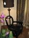 Design interior Bucuresti
