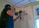 Montaj aer conditionat