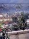 Balustrade balcon din fier forjat