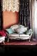 Design interior