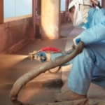 Echipamente Graco pentru aplicare vopsele in constructii