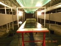 Captuseli inzidire B-Team Bucuresti