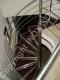 Balustrade si scari