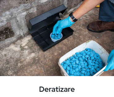 Deratizare Bucureşti