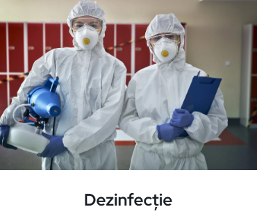Dezinfectie bucureşti