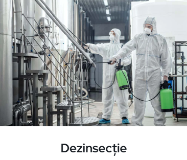 Dezinsectie Bucureşti