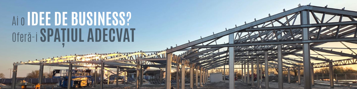 Constructor de hale metalice industriale