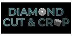 Diamond Cut&Crop - Carotare și tăiere beton