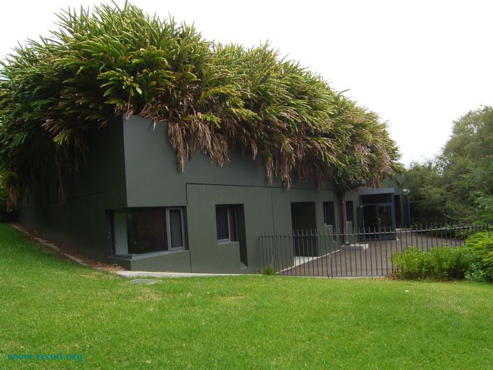 Gradini pe acoperis in Sydney