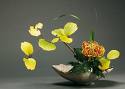 Aranjamente florale Ikebana